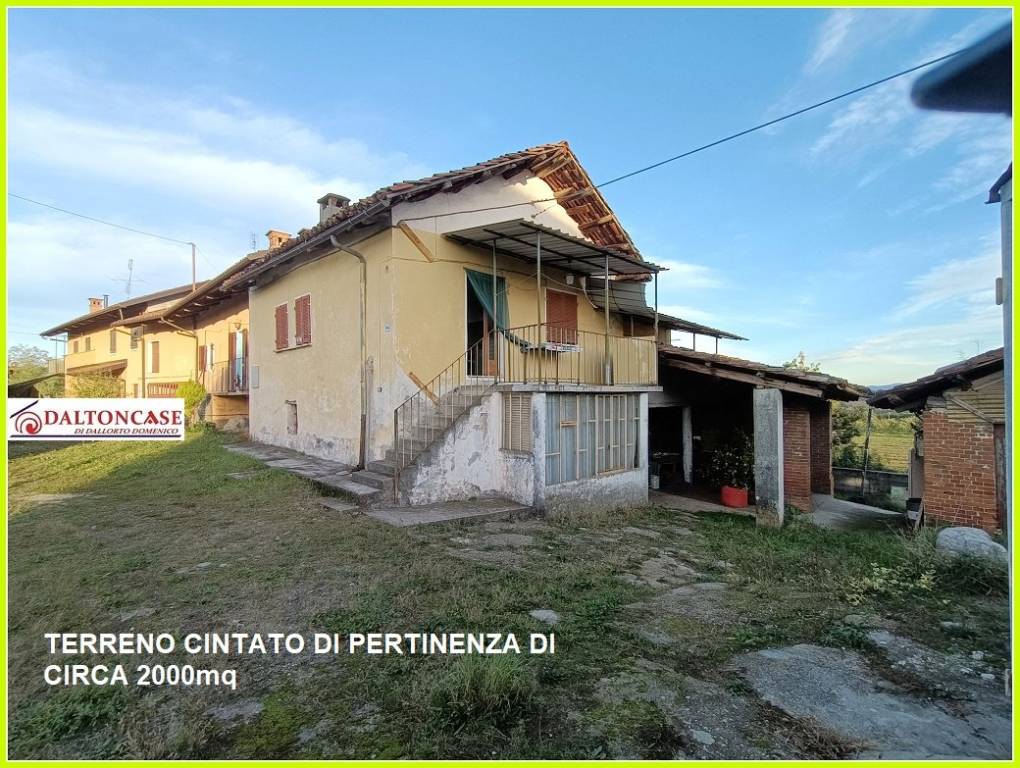 immagine annuncio 1 di 14