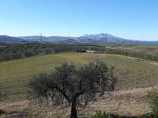 Terreno agricolo all'asta a venosa sp109