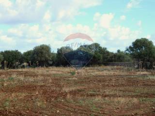 Terreno agricolo in vendita a cinisi fondo orsa, snc