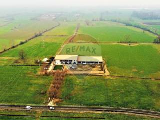 Terreno agricolo in vendita a caravaggio strada provinciale 11,, 8