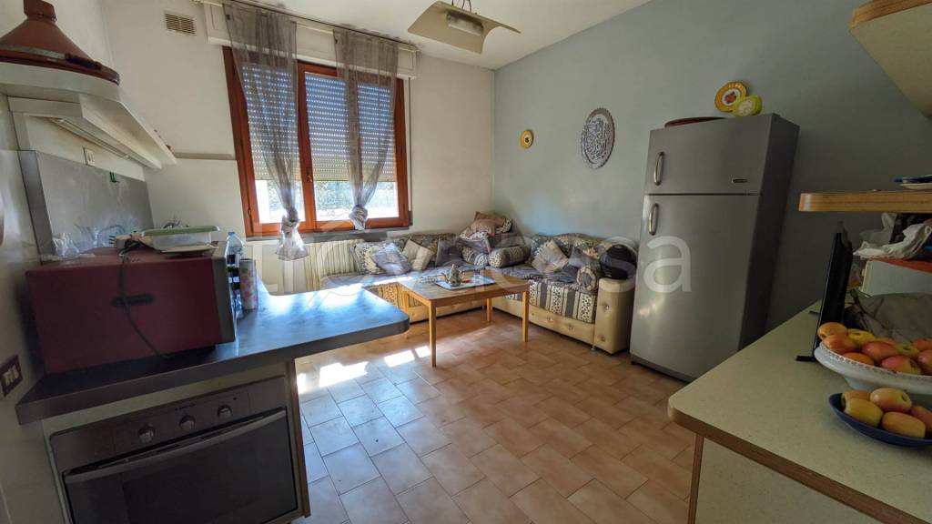 immagine annuncio 2 di 6