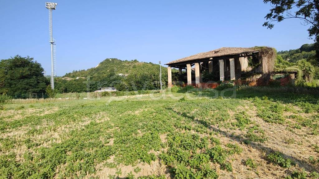 immagine annuncio 2 di 7