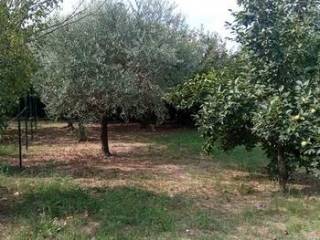 Azienda agricola in vendita a prato 