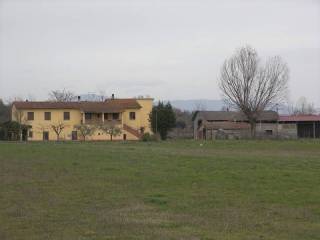 Azienda agricola in vendita a torrita di siena 