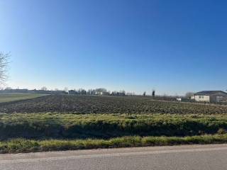 Terreno agricolo in vendita a roncoferraro 