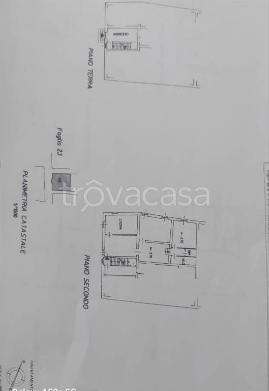 immagine annuncio 2 di 13