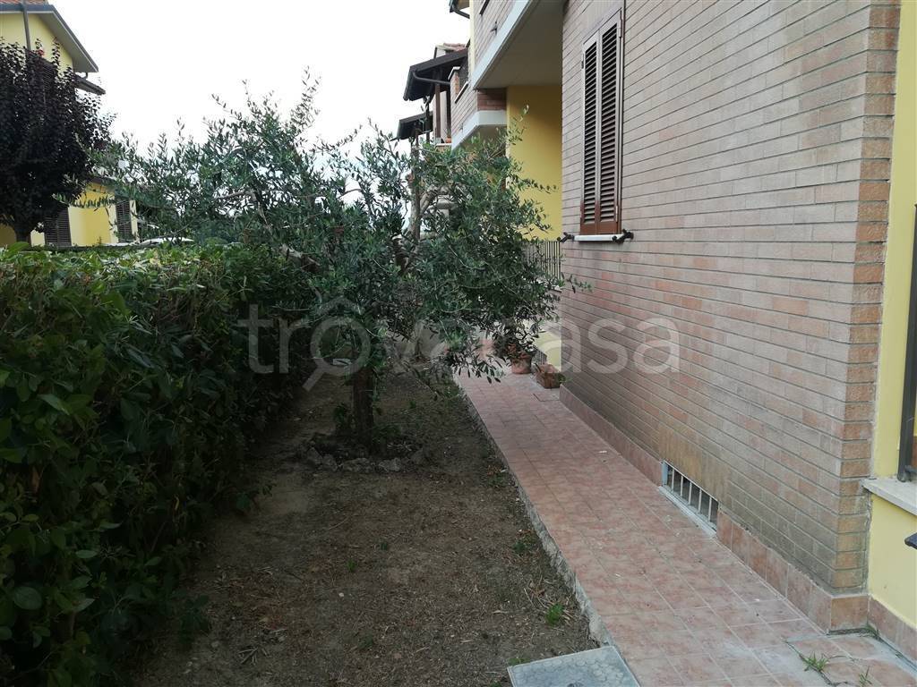 immagine annuncio 3 di 13