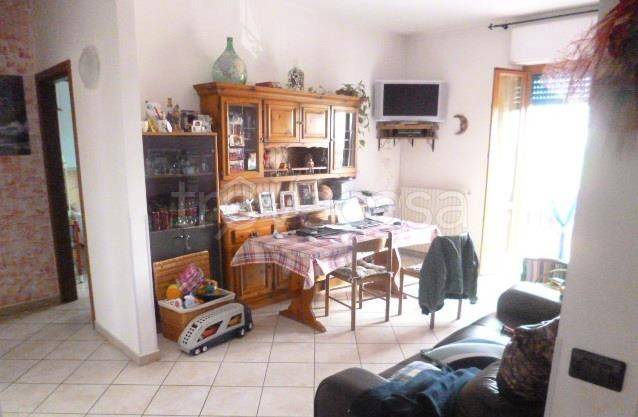 immagine annuncio 3 di 7