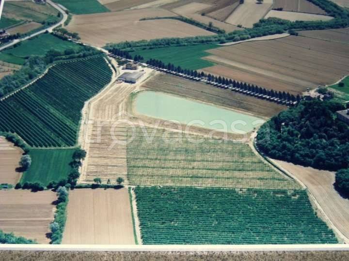immagine annuncio 3 di 6