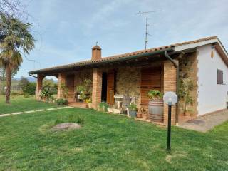 Azienda agricola in vendita a gavorrano 