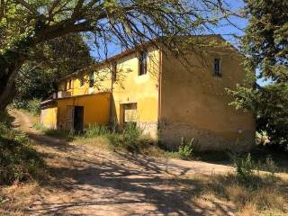 Azienda agricola in vendita a crespina lorenzana 