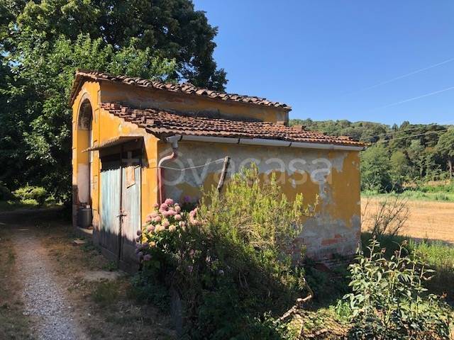 immagine annuncio 3 di 12