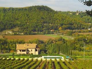 Azienda agricola in vendita a baschi 