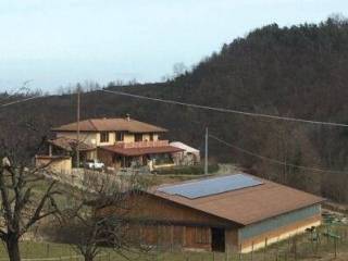 Azienda agricola in vendita a vesime 