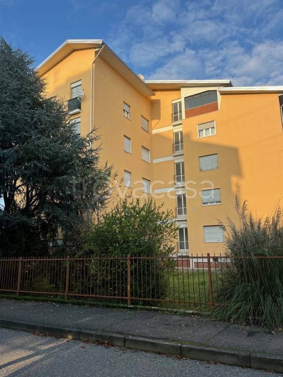 immagine annuncio 12 di 13