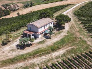 Azienda agricola in vendita a serra de' conti contrada san paterniano