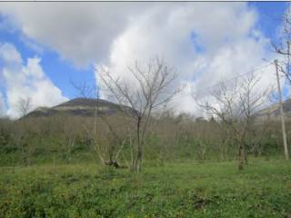 Terreno agricolo all'asta a san cipriano picentino via potenza