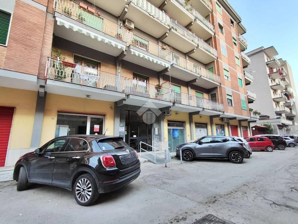 immagine annuncio 9 di 11