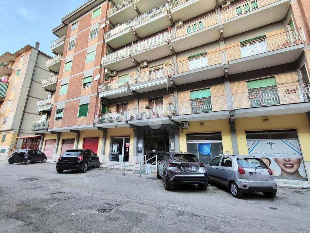 immagine annuncio 10 di 11