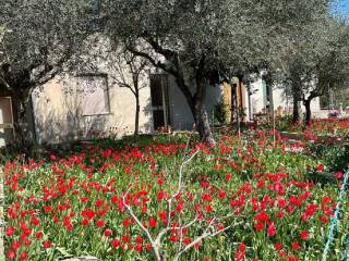 Villa bifamiliare in vendita a coriano 