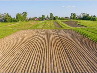 Terreno agricolo in vendita a mereto di tomba via piave