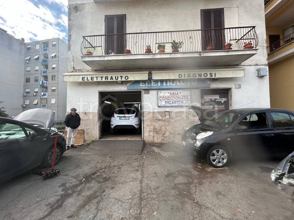 immagine annuncio 1 di 10