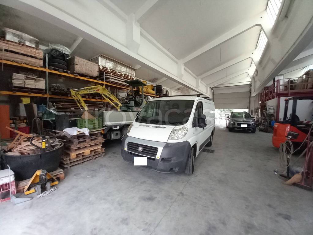 immagine annuncio 1 di 8