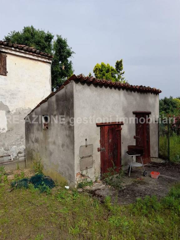 immagine annuncio 4 di 7