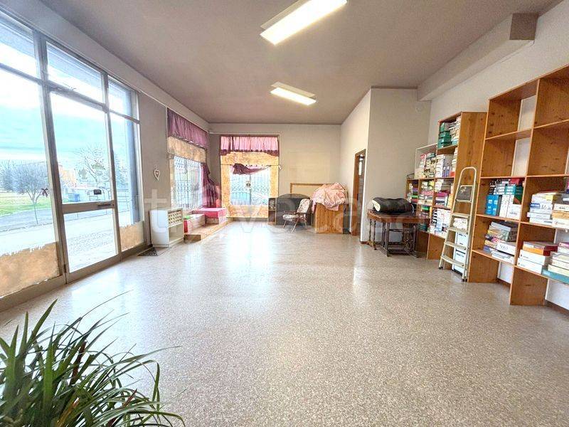 immagine annuncio 5 di 11