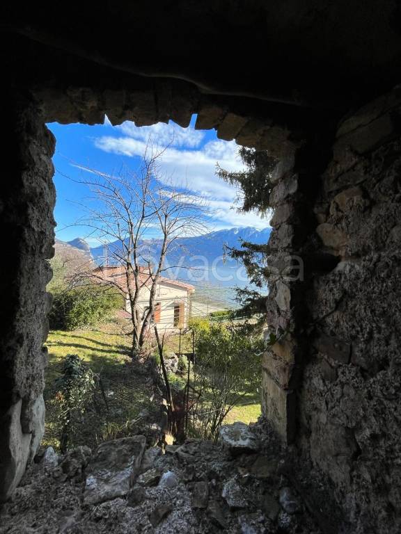 immagine annuncio 2 di 14