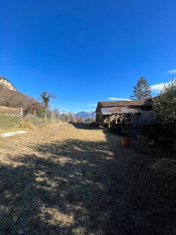 immagine annuncio 8 di 14