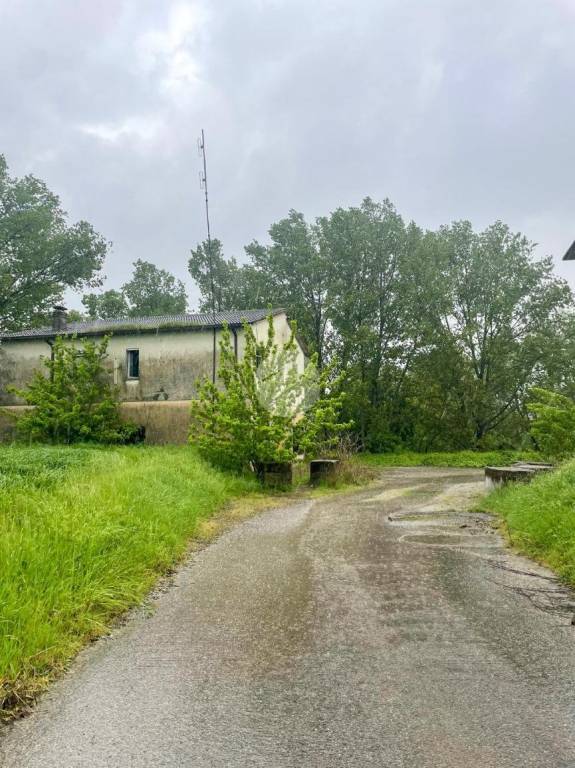 immagine annuncio 4 di 9