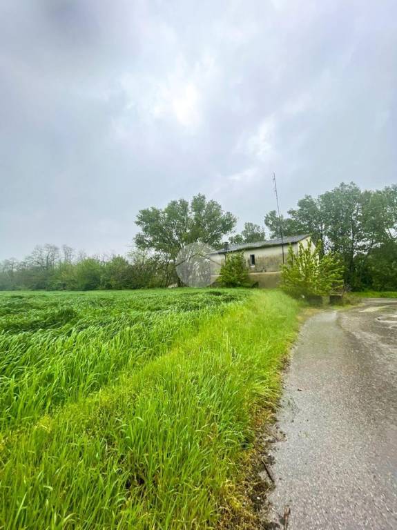 immagine annuncio 6 di 9