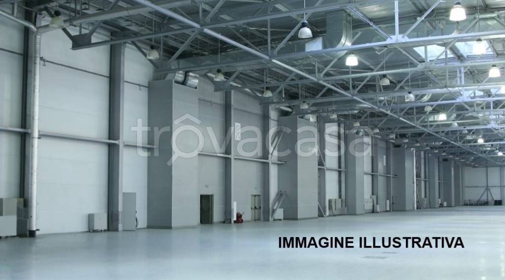 immagine annuncio 1 di 9