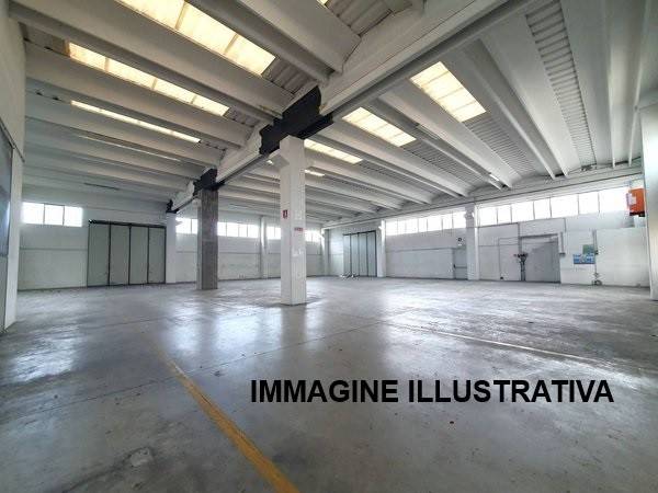 immagine annuncio 2 di 9