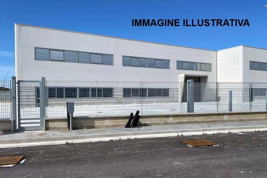 immagine annuncio 4 di 9