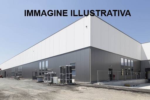 immagine annuncio 5 di 9