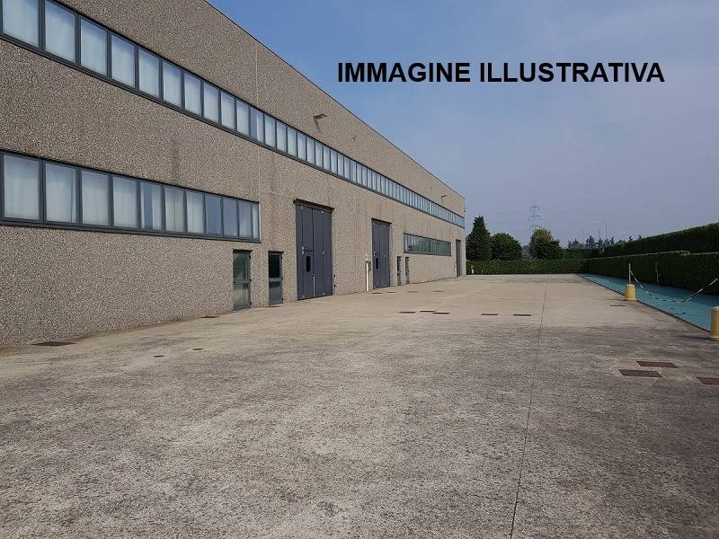 immagine annuncio 7 di 9