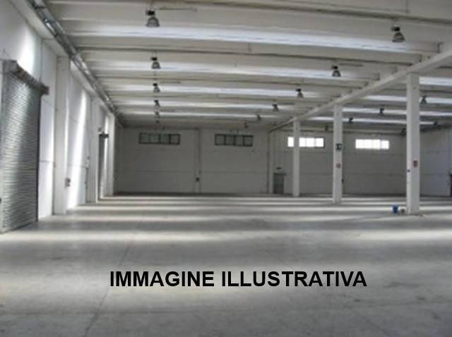 immagine annuncio 8 di 9