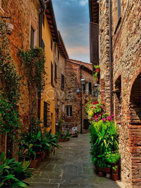 immagine annuncio 2 di 4