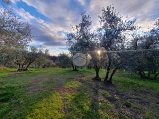 Terreno agricolo in vendita a viterbo strada campogrande