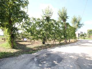 Terreno residenziale in vendita a casapesenna via sant'antonio