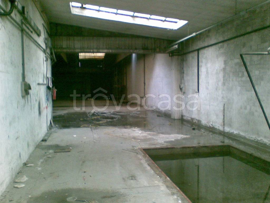 immagine annuncio 4 di 9