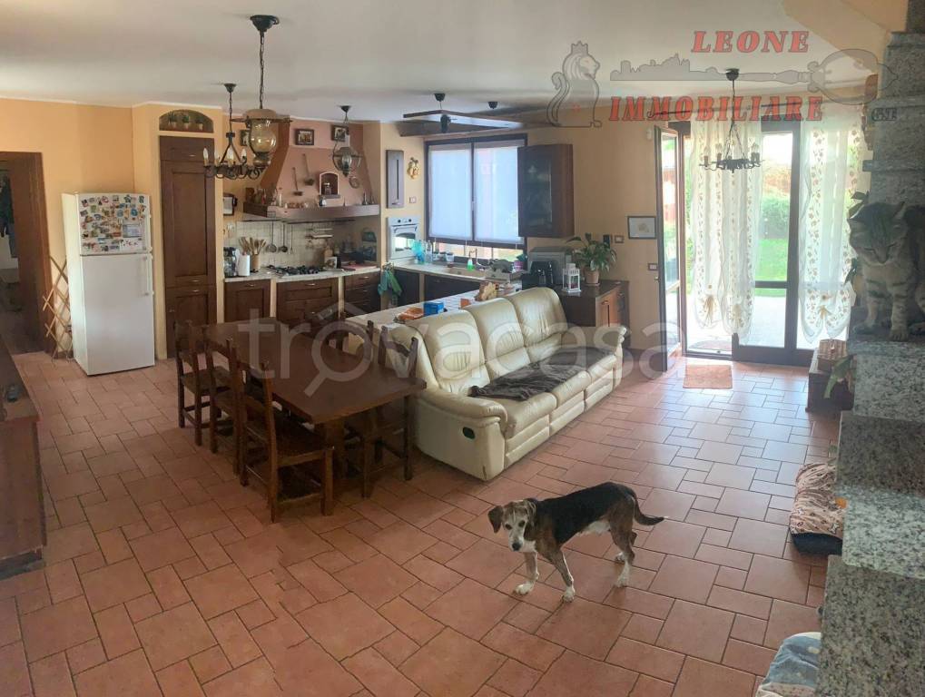 immagine annuncio 11 di 15