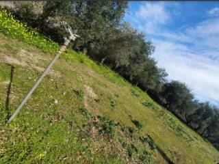 Terreno agricolo all'asta a messina ss113