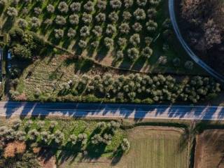 Terreno agricolo in vendita a puegnago del garda via merler s.n.c.