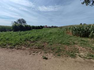 Terreno agricolo all'asta a mereto di tomba via nazario sauro