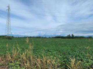 Terreno agricolo all'asta a mereto di tomba sp52