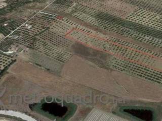 Terreno agricolo in vendita a sciacca c.da gaddemi