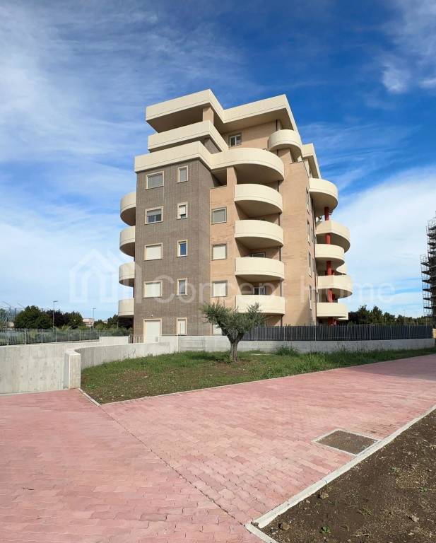 immagine annuncio 6 di 12